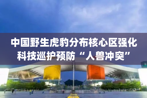 中国野生虎豹分布核心区强化科技巡护预防“人兽冲突”