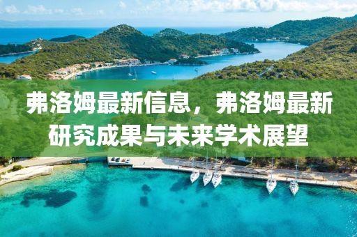 弗洛姆最新信息，弗洛姆最新研究成果与未来学术展望