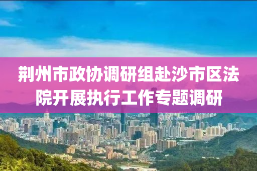 荆州市政协调研组赴沙市区法院开展执行工作专题调研