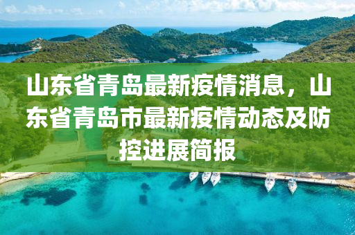 山东省青岛最新疫情消息，山东省青岛市最新疫情动态及防控进展简报