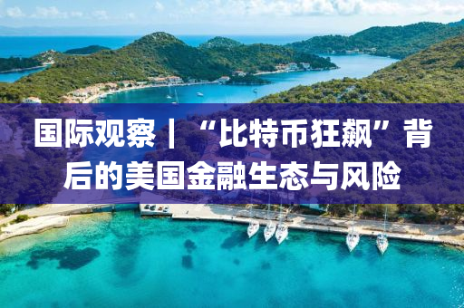 国际观察｜“比特币狂飙”背后的美国金融生态与风险