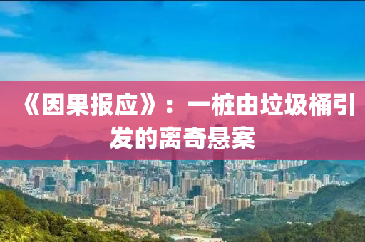 《因果报应》：一桩由垃圾桶引发的离奇悬案