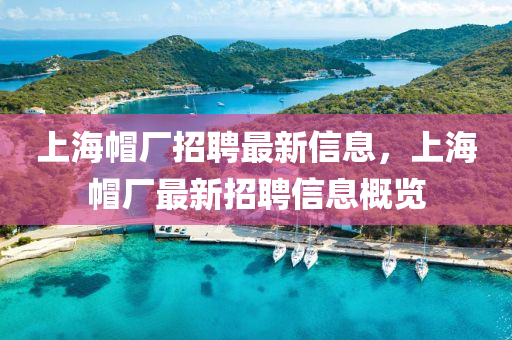 上海帽厂招聘最新信息，上海帽厂最新招聘信息概览