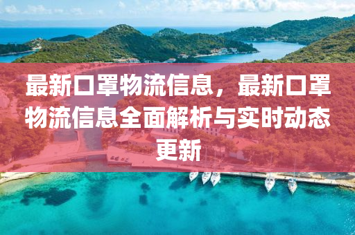 最新口罩物流信息，最新口罩物流信息全面解析与实时动态更新