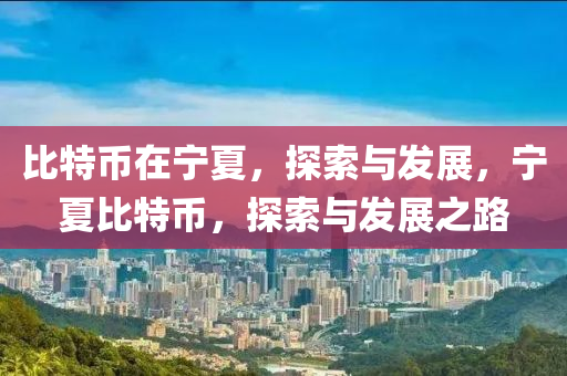 比特币在宁夏，探索与发展，宁夏比特币，探索与发展之路