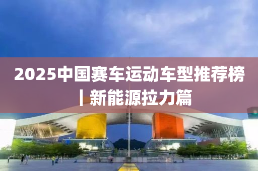 2025中国赛车运动车型推荐榜｜新能源拉力篇