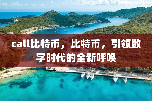 call比特币，比特币，引领数字时代的全新呼唤