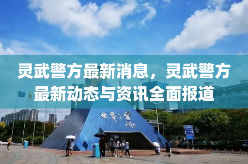 灵武警方最新消息，灵武警方最新动态与资讯全面报道