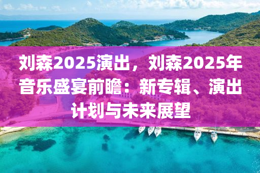 刘森2025演出，刘森2025年音乐盛宴前瞻：新专辑、演出计划与未来展望