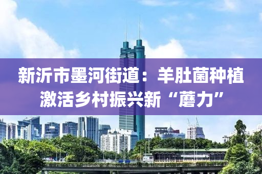 新沂市墨河街道：羊肚菌种植激活乡村振兴新“蘑力”