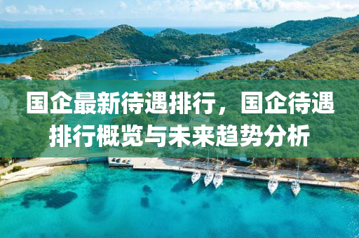 国企最新待遇排行，国企待遇排行概览与未来趋势分析