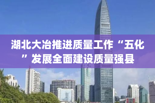 湖北大冶推进质量工作“五化”发展全面建设质量强县
