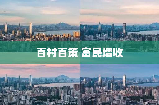 百村百策 富民增收