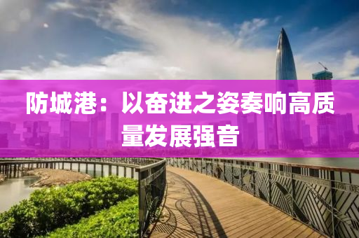 防城港：以奋进之姿奏响高质量发展强音