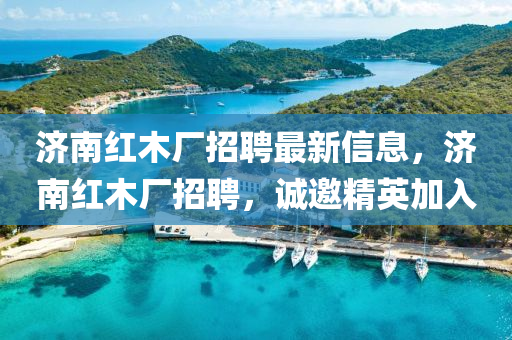 2025年1月8日 第17页