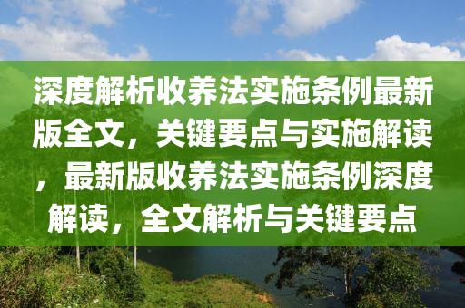 深度解析收养法实施条例最新版全文，关键要点与实施解读，最新版收养法实施条例深度解读，全文解析与关键要点