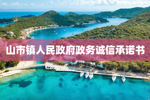 山市镇人民政府政务诚信承诺书