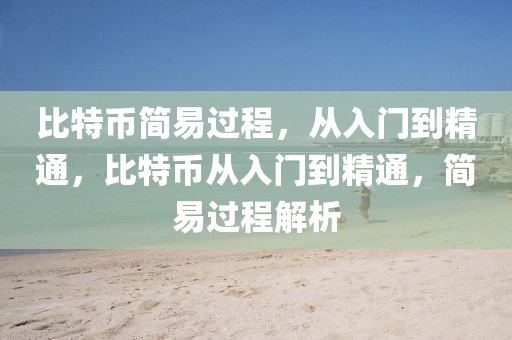 比特币简易过程，从入门到精通，比特币从入门到精通，简易过程解析