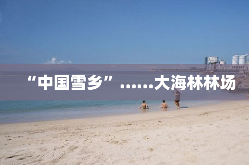“中国雪乡”……大海林林场