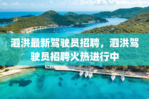泗洪最新驾驶员招聘，泗洪驾驶员招聘火热进行中