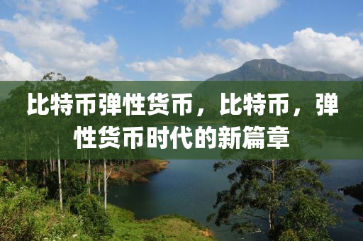 比特币弹性货币，比特币，弹性货币时代的新篇章