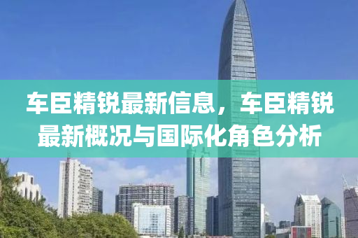 车臣精锐最新信息，车臣精锐最新概况与国际化角色分析