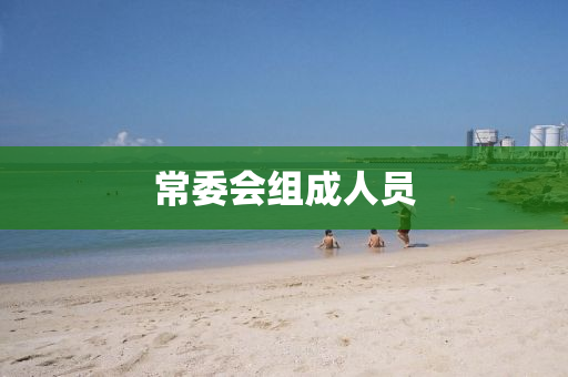 常委会组成人员