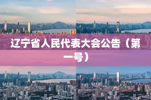 辽宁省人民代表大会公告（第一号）