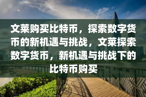 文莱购买比特币，探索数字货币的新机遇与挑战，文莱探索数字货币，新机遇与挑战下的比特币购买