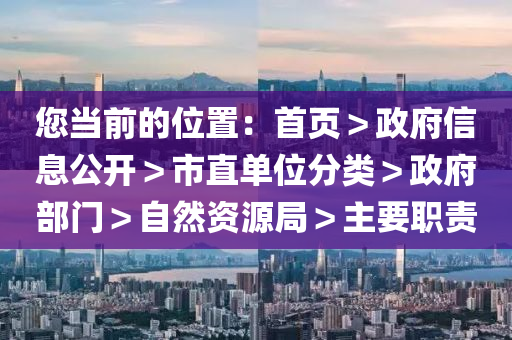 您当前的位置：首页＞政府信息公开＞市直单位分类＞政府部门＞自然资源局＞主要职责