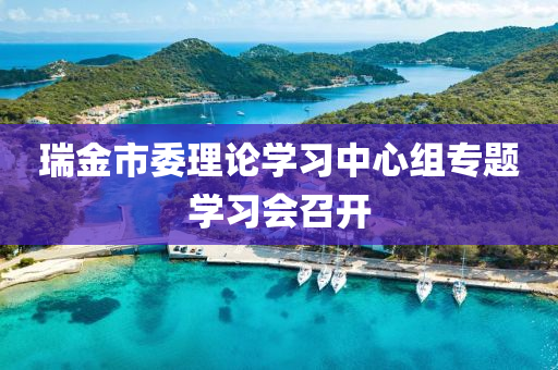 瑞金市委理论学习中心组专题学习会召开