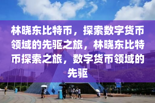 林晓东比特币，探索数字货币领域的先驱之旅，林晓东比特币探索之旅，数字货币领域的先驱