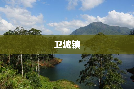 卫城镇