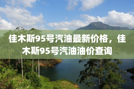 佳木斯95号汽油最新价格，佳木斯95号汽油油价查询