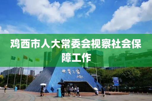 鸡西市人大常委会视察社会保障工作