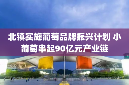 北镇实施葡萄品牌振兴计划 小葡萄串起90亿元产业链
