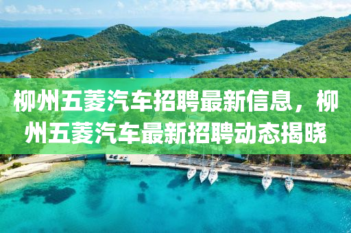 柳州五菱汽车招聘最新信息，柳州五菱汽车最新招聘动态揭晓