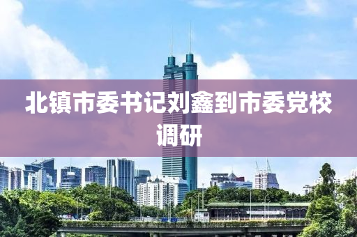 北镇市委书记刘鑫到市委党校调研