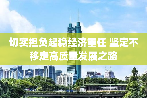 切实担负起稳经济重任 坚定不移走高质量发展之路