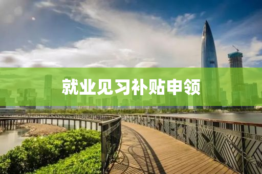 就业见习补贴申领