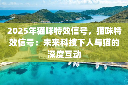 2025年猫咪特效信号，猫咪特效信号：未来科技下人与猫的深度互动