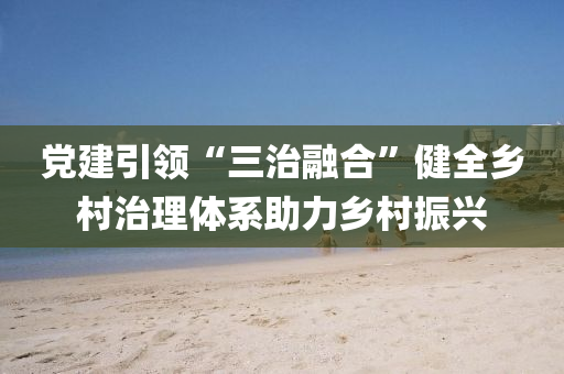 党建引领“三治融合”健全乡村治理体系助力乡村振兴