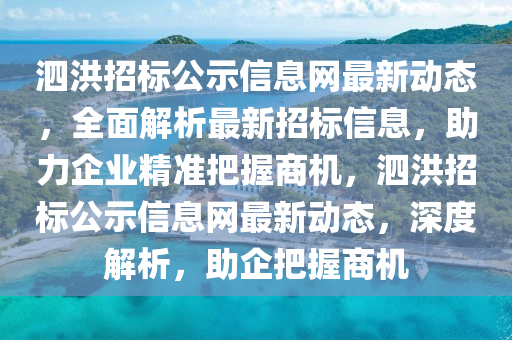 泗洪招标公示信息网最新动态，全面解析最新招标信息，助力企业精准把握商机，泗洪招标公示信息网最新动态，深度解析，助企把握商机