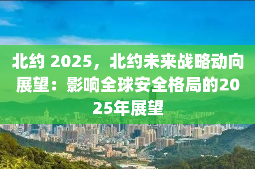 北约 2025，北约未来战略动向展望：影响全球安全格局的2025年展望