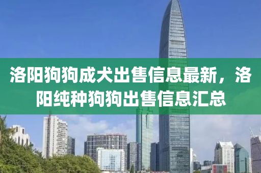 洛阳狗狗成犬出售信息最新，洛阳纯种狗狗出售信息汇总
