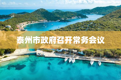泰州市政府召开常务会议