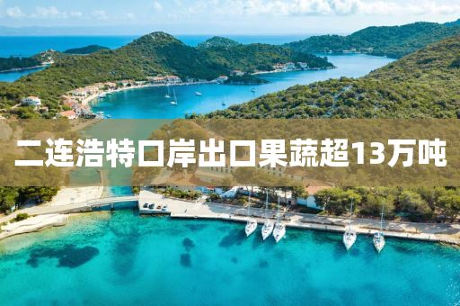 二连浩特口岸出口果蔬超13万吨