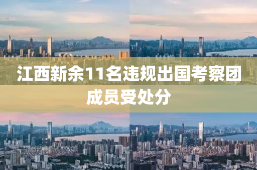 江西新余11名违规出国考察团成员受处分