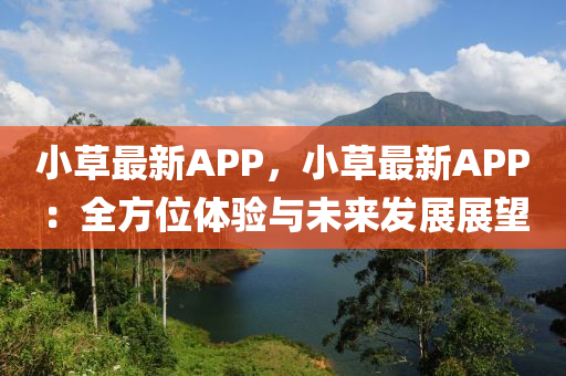 小草最新APP，小草最新APP：全方位体验与未来发展展望