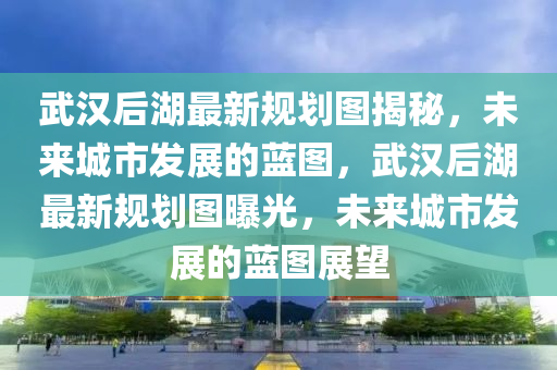 武汉后湖最新规划图揭秘，未来城市发展的蓝图，武汉后湖最新规划图曝光，未来城市发展的蓝图展望